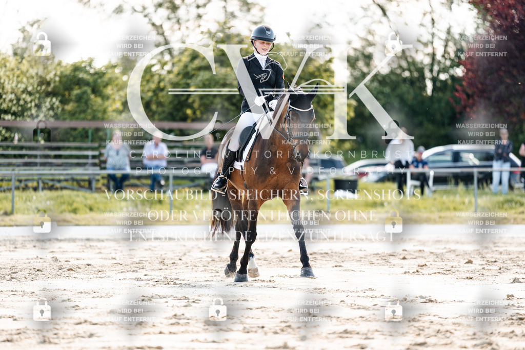 CK909506 | Turnierfotografie Pferdefotografie Trier Rheinland-Pfalz Pferdesport Reitsport Tierfotografie Sportfotografie Pferdevideo Pferdevideografie Equestrianvideography equestrianphotography  - Realisiert mit Pictrs.com