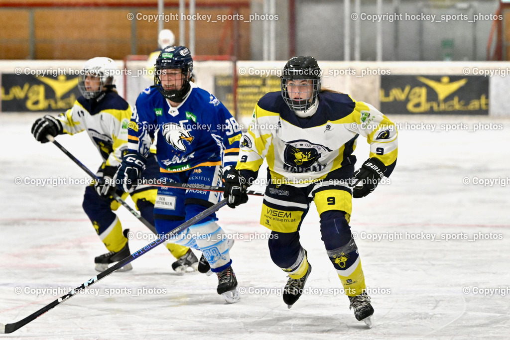 Wildcats Paternion vs. Lady Hawks  | #9 Neumann Magdalena WILDCATS PATERNION, #98 Walluschnig Nadine Ramona LADY HAWKS, Wildcats Paternion vs. Lady Hawks , Wildcats Paternion vs. Lady Hawks  am 27.01.2025 in Spittal an der Drau (Eissportzentrum Spittal), Austria, (Photo by Bernd Stefan)