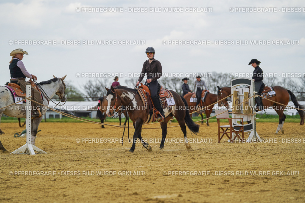 DSC06409 | Pferdegrafie