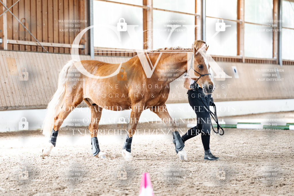CK905572 | Turnierfotografie Pferdefotografie Trier Rheinland-Pfalz Pferdesport Reitsport Tierfotografie Sportfotografie Pferdevideo Pferdevideografie Equestrianvideography equestrianphotography  - Realisiert mit Pictrs.com