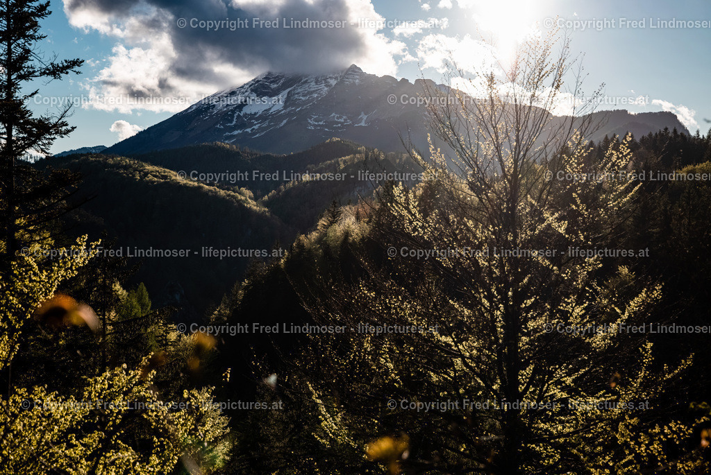Marienstein Naturpark Oetscher Tormaeuer-4397 | Fotos und Fotoprodukte - Realisiert mit Pictrs.com