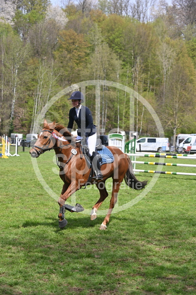 DSC_1962 | sattelsport - Realisiert mit Pictrs.com