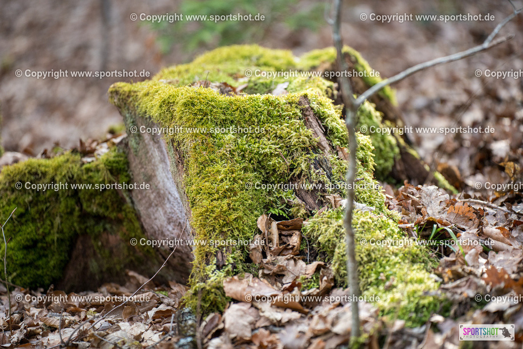 SZI05489 | #forstenriedervolkslauf #volkslauf #forstenried #forstenriedersc #yourpictrs #sportshot_your_pictrs