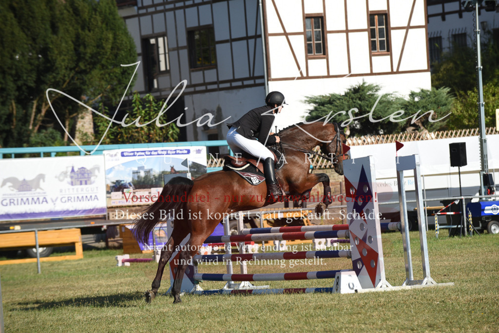 DSC_5193 | Pferde- und Turnierfotografie in Westsachsen. Pferdeportraits, Auftragszeichnungen und intuitive Kunst.