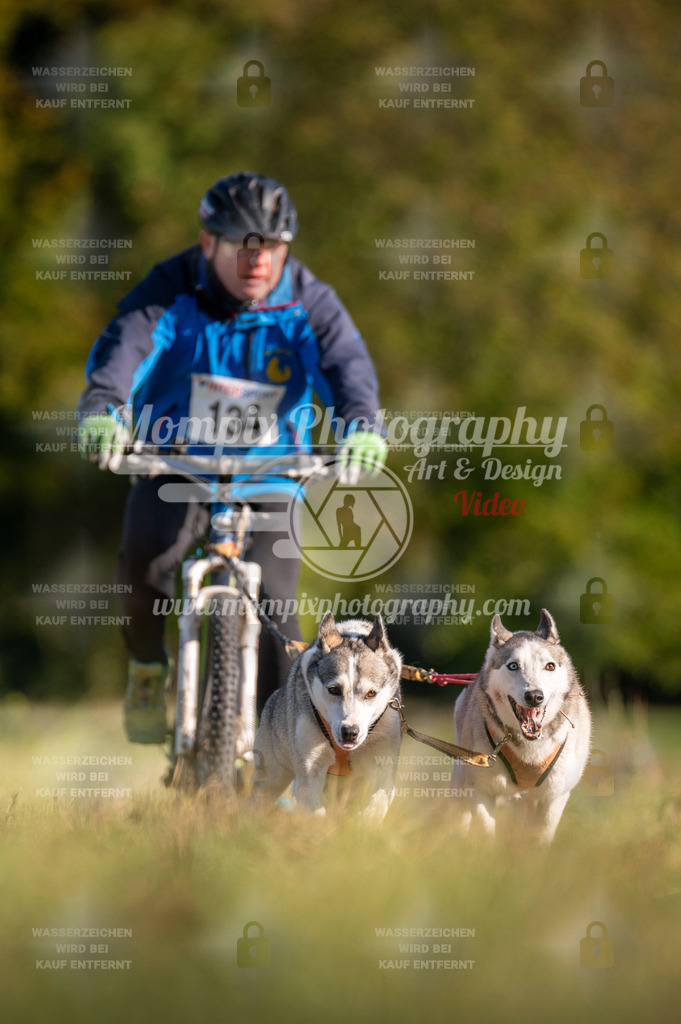 CDLBDB_15_10_2023_Dimanche-366 | PayLife