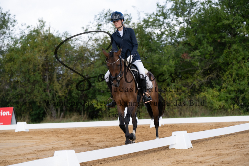 A7V05192 | Pferdefotograf