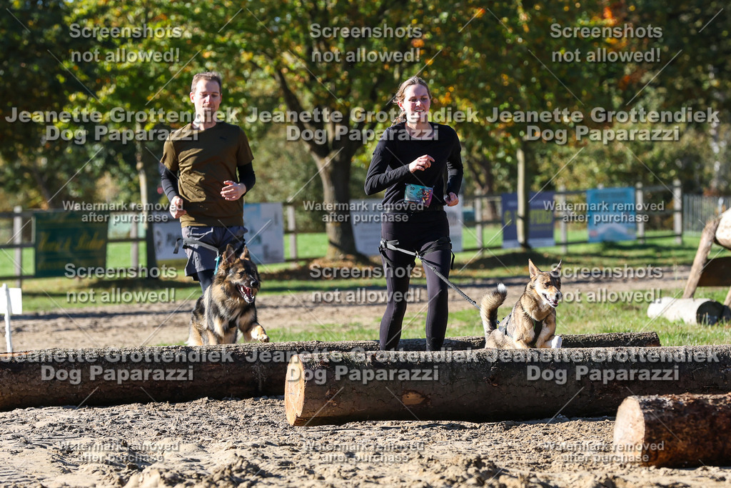 Dog Paparazzi - Strongdog 10-25-2362 | Dog Paparazzi Jeanette Grottendiek Fotografie & Videografie - Realisiert mit Pictrs.com