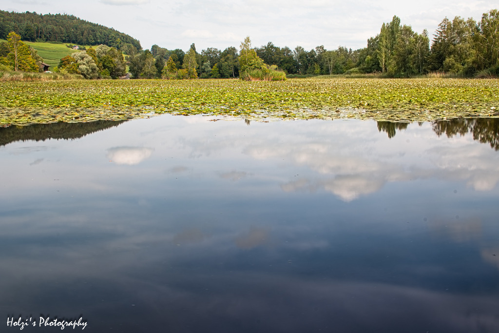 Bettenweiher  | Holzisphotography, Landschaftsfotografie, Wildlifefotogorafie - Realisiert mit Pictrs.com