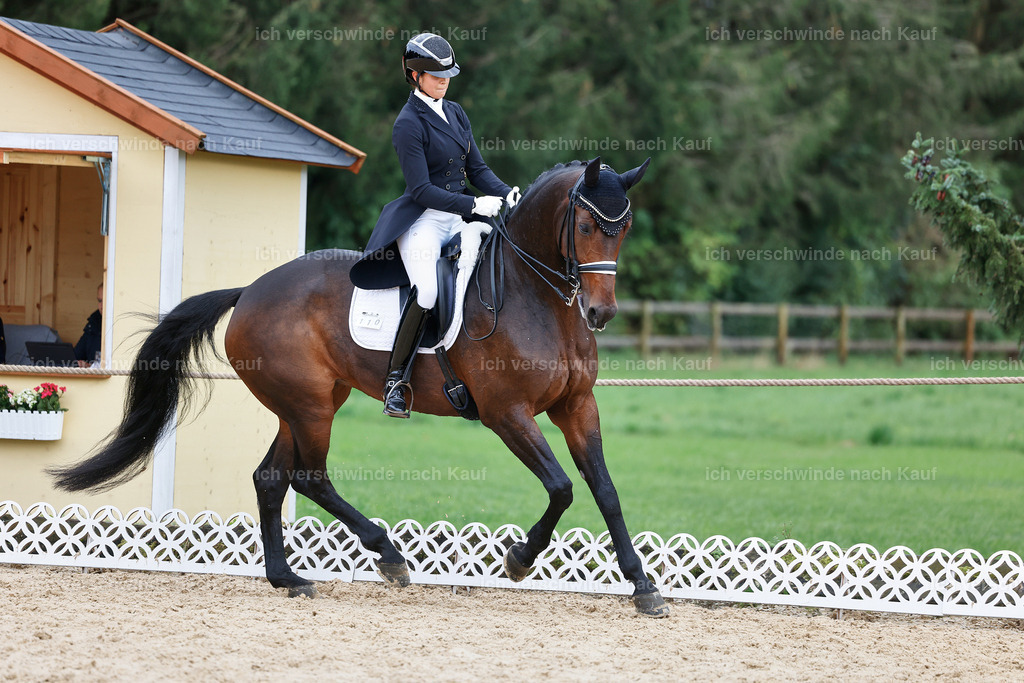 12-110-DRESSUR  S___  -StoibPH-5295 | working equitationturnier fotograf videograf stoibphotography marixx film working equitation deutschland reitsport turnierfotografie eventfotografie equestrian events