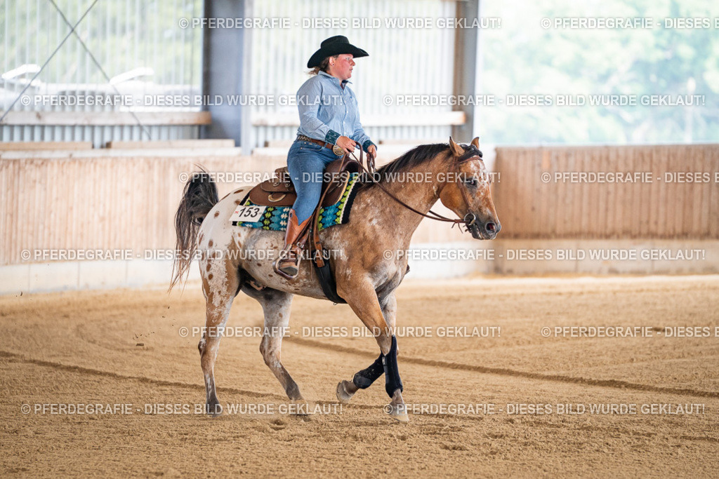 DSC03947 | Pferdegrafie