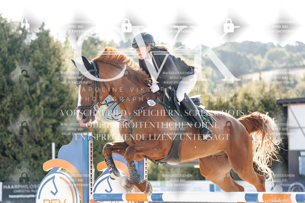 CK901543 | Turnierfotografie Pferdefotografie Trier Rheinland-Pfalz Pferdesport Reitsport Tierfotografie Sportfotografie Pferdevideo Pferdevideografie Equestrianvideography equestrianphotography  - Realisiert mit Pictrs.com