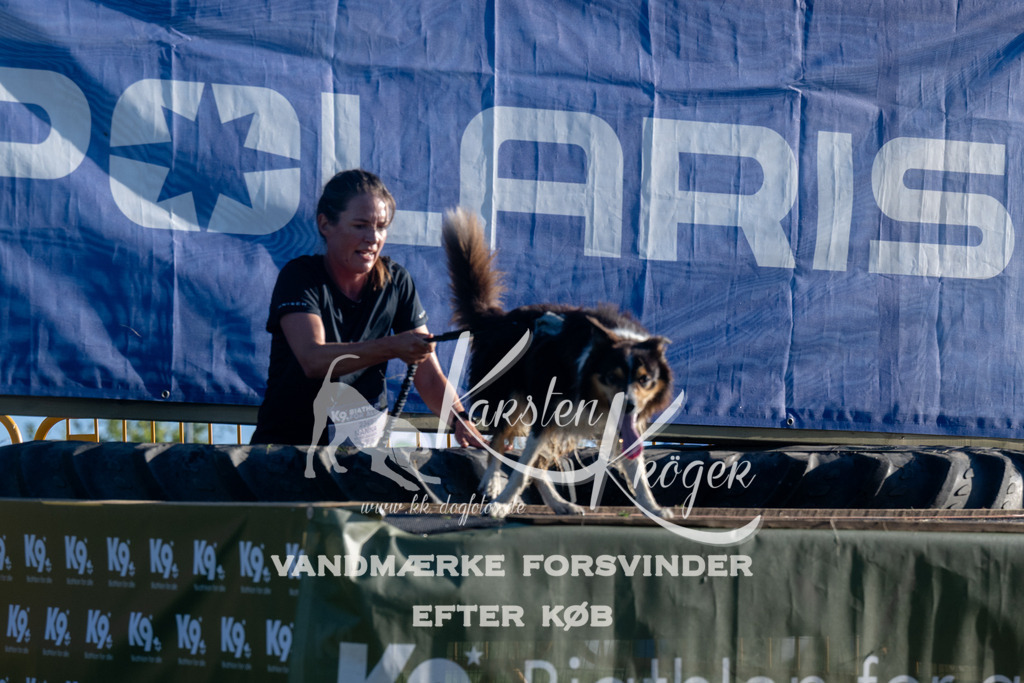 0817_ZZ93186 | kk-dogfotos