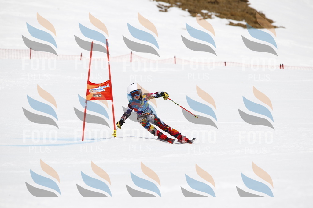 _U3G7724 | holidayphoto