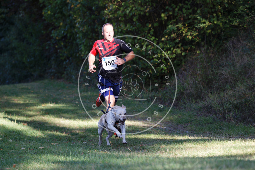 0L8A4987 | Hundefotografie, Tierfotograf, Pfotenfotografie, Fotoshooting Hund, Hunde Portrait, Hundesport, Hundeportraits, Heideshooting, Hunde, Sportfotograf, Hundefotograf, Turnierhundsport, THS,  - Realisiert mit Pictrs.com