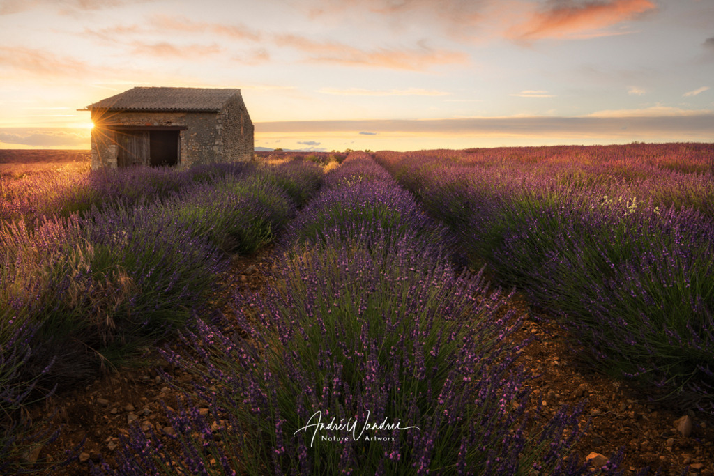 Letzte Sonnenstrahlen | Andre Wandrei - Nature Artworx - Realisiert mit Pictrs.com