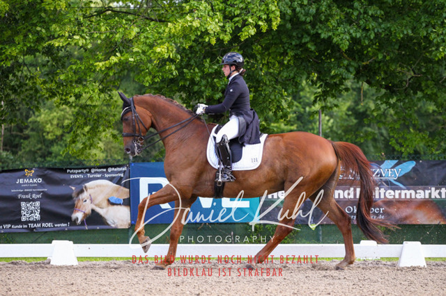 DKP41604 | Deine Turnierfotos vom Reitturnier online kaufen: Dressur, Springen & Siegerehrung. Professionelle Pferdefotografie aus dem Rheinland – als Download & Print.Alternative: Turnierfotograf für den Pferdesport: Finde deine Fotos von Dressur- und Springturnier