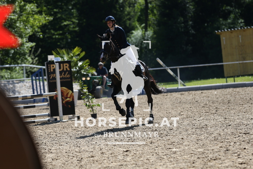 DL2Q0750 | Willkommen bei Brunnmayr - Design & Fotografie – Ihrem Spezialisten für Reitturniere und Pferdeveranstaltungen in Oberösterreich, Salzburg und Bayern! Seit über 17 Jahren sind wir leidenschaftlich dabei.