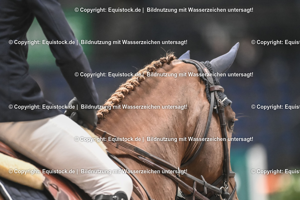 20231116_PREIS DER BARDUSCH GMBH_0115_TOMsPiC | Foto: Thomas Hartig