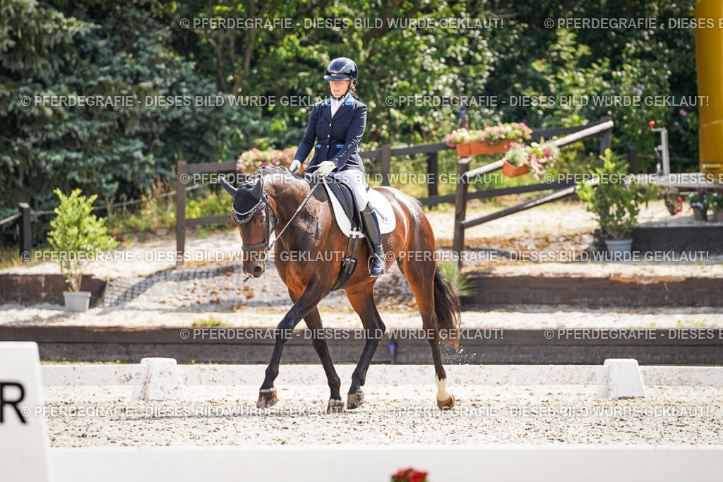 DSC09273 | Pferdegrafie