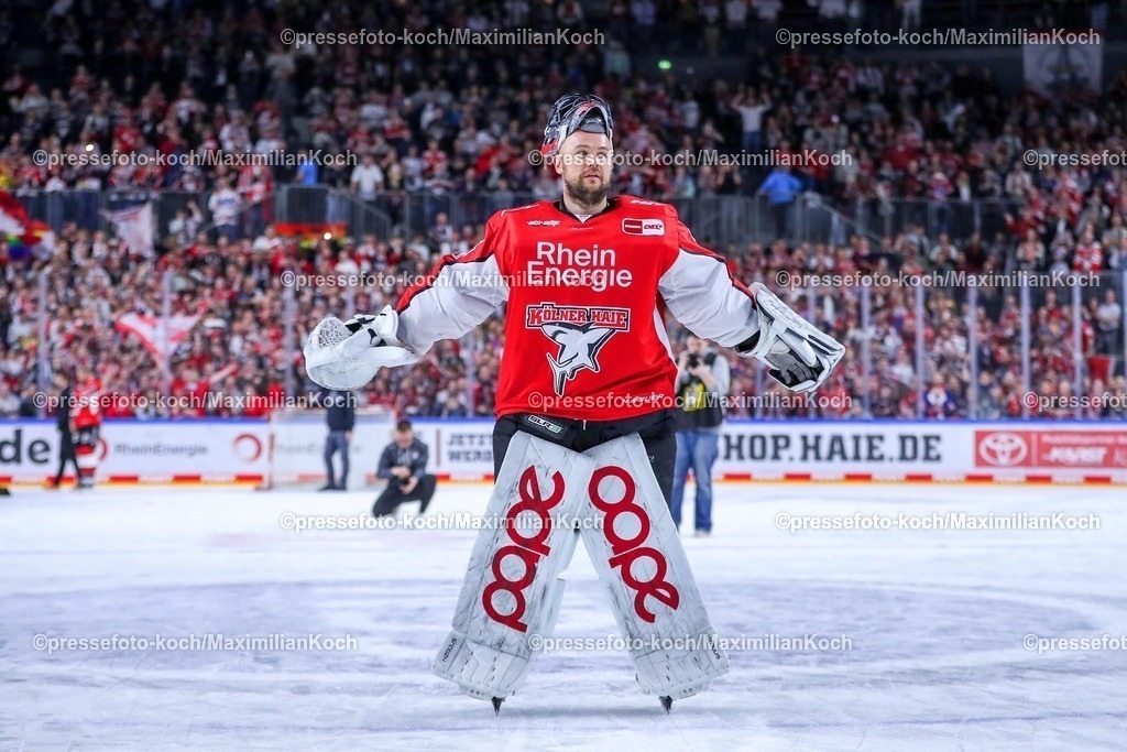 KEC1404251149 | 14.04.2025, Eishockey, DEL Play-offs, Kölner Haie - ERC Ingolstadt, Halbfinale Spiel 6, Lanxess-Arena Köln: Abschlussjubel nach dem EInzug der Kölner Haie ins Finale. Die Haie Siegen mit 3:2 gegen Ingolstadt durch Torschütze Justin Schütz (Kölner Haie #10) in der Verlängerung. Julius Hudacek (Kölner Haie #35) jubelnd 