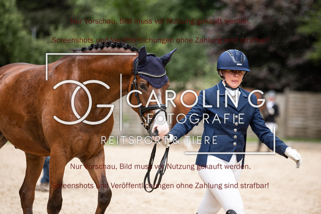 DSC_3164 | Turnierfotografin Carolin Gieschke,Reitsport Turnierfotografie Carolin G Fotografie | Turnierfotos aus Kirchheim/Teck, Esslingen, Stuttgart und dem Bodenseekreis