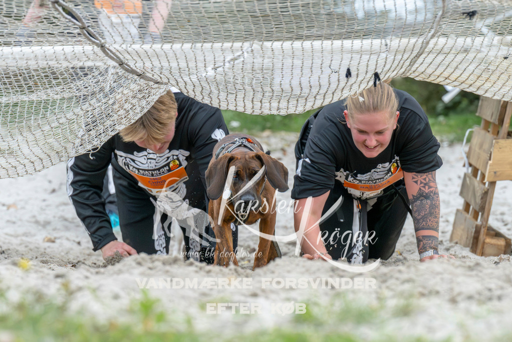 1036_ZZ94538 | kk-dogfotos