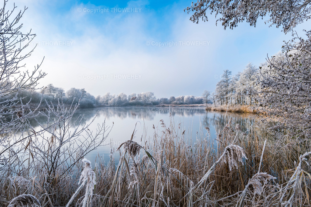 _1020008 | thowehey - Realisiert mit Pictrs.com