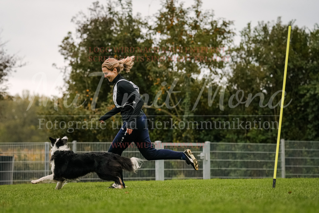 20251005_THS_Turnier-404 | MuT (Mensch und Tier) mit Mona - Fotografie und Tierkommunikation - Realisiert mit Pictrs.com