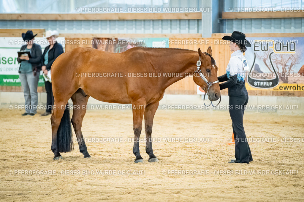 DSC09824 | Pferdegrafie