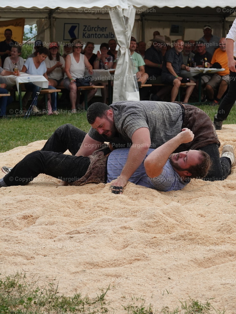 DSC05155 | Schwingen - Realisiert mit Pictrs.com