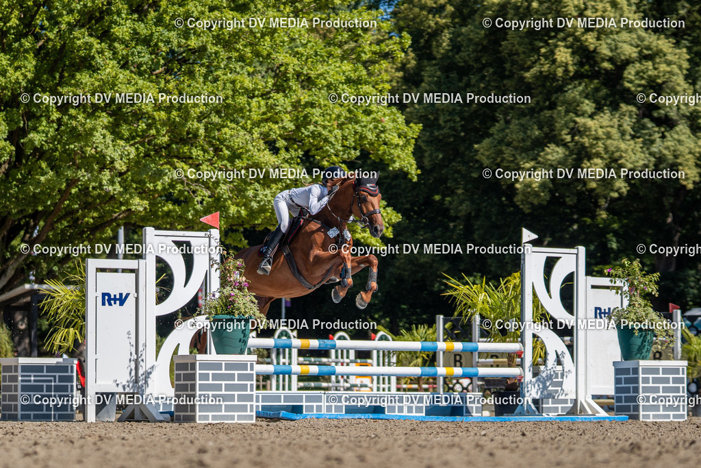 Hessische Tag 3-06 | dv-media-shop - Realisiert mit Pictrs.com