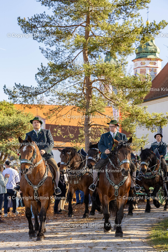 LBT25-1140 | foto-bettina-krinner - Realisiert mit Pictrs.com