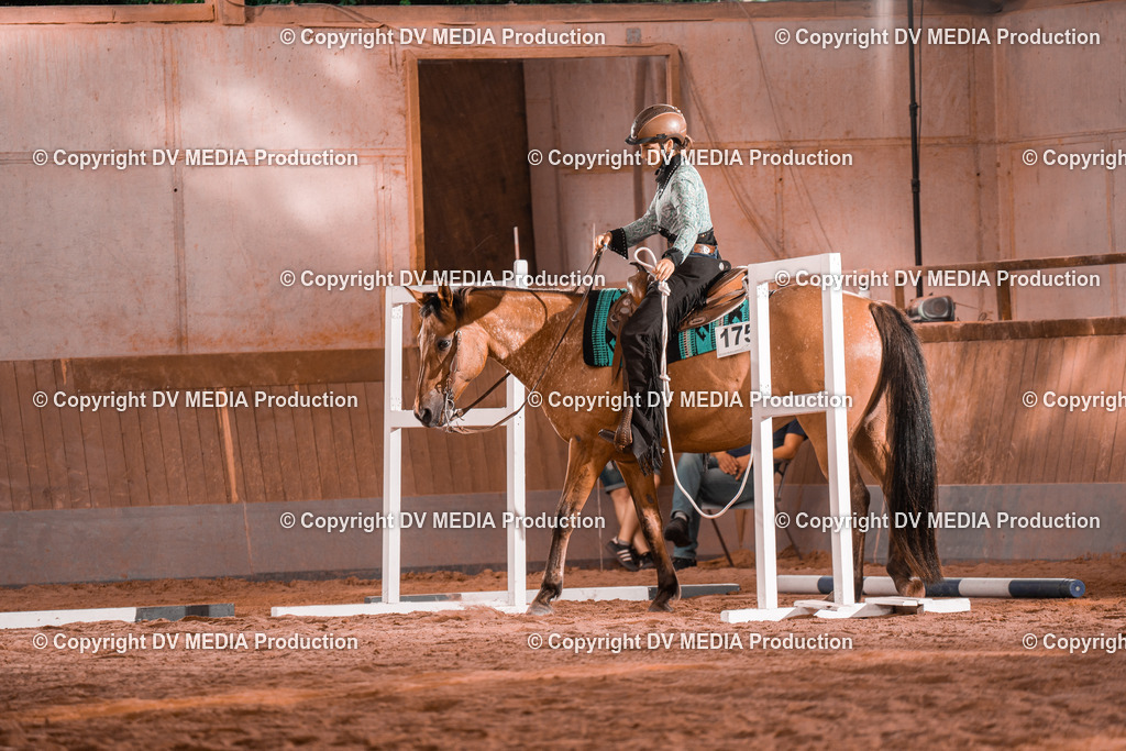 NE300069 | dv-media-shop - Realisiert mit Pictrs.com