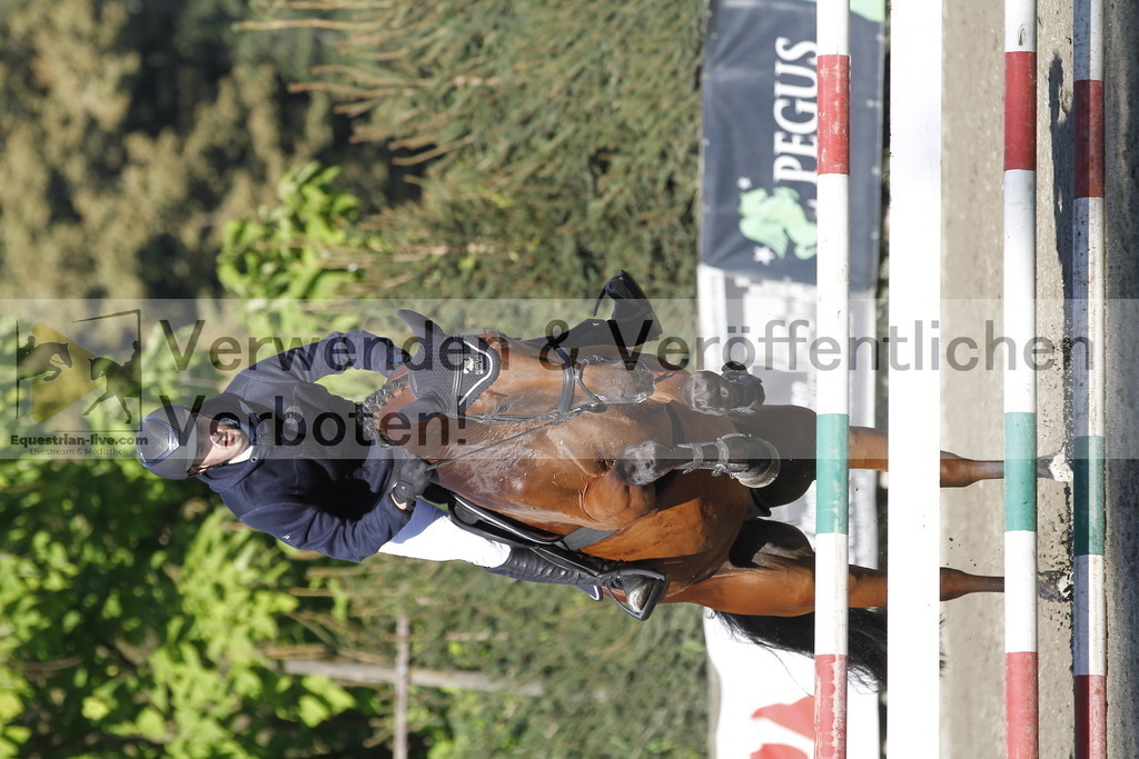 _MG_4611 | equestrian-live-com