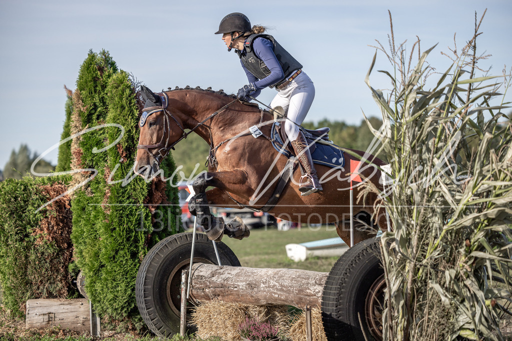 20250907-_3LI8719 | Tierfotografie Pferde, Hunde, Katzen, Haustiere.
Turnierfotografie Reitturniere, Reiten, Springreiten, Dressur in Hanau, dem Main-Kinzig-Kreis und dem Rhein-Main- Gebiet um Frankfurt