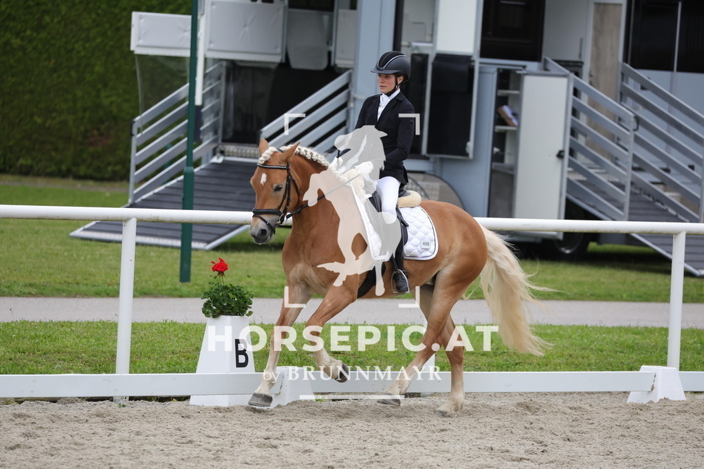 0P6A7104 | Willkommen bei Brunnmayr - Design & Fotografie – Ihrem Spezialisten für Reitturniere und Pferdeveranstaltungen in Oberösterreich, Salzburg und Bayern! Seit über 17 Jahren sind wir leidenschaftlich dabei.
