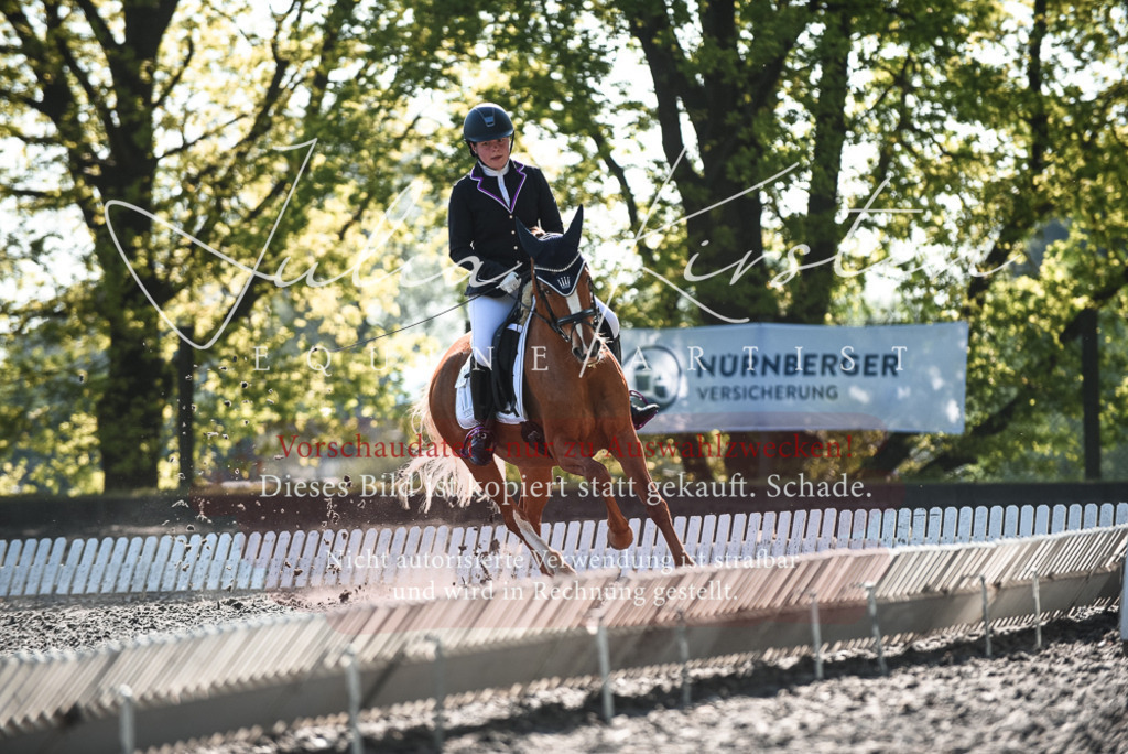 DSC_8442 | Pferde- und Turnierfotografie in Westsachsen. Pferdeportraits, Auftragszeichnungen und intuitive Kunst.