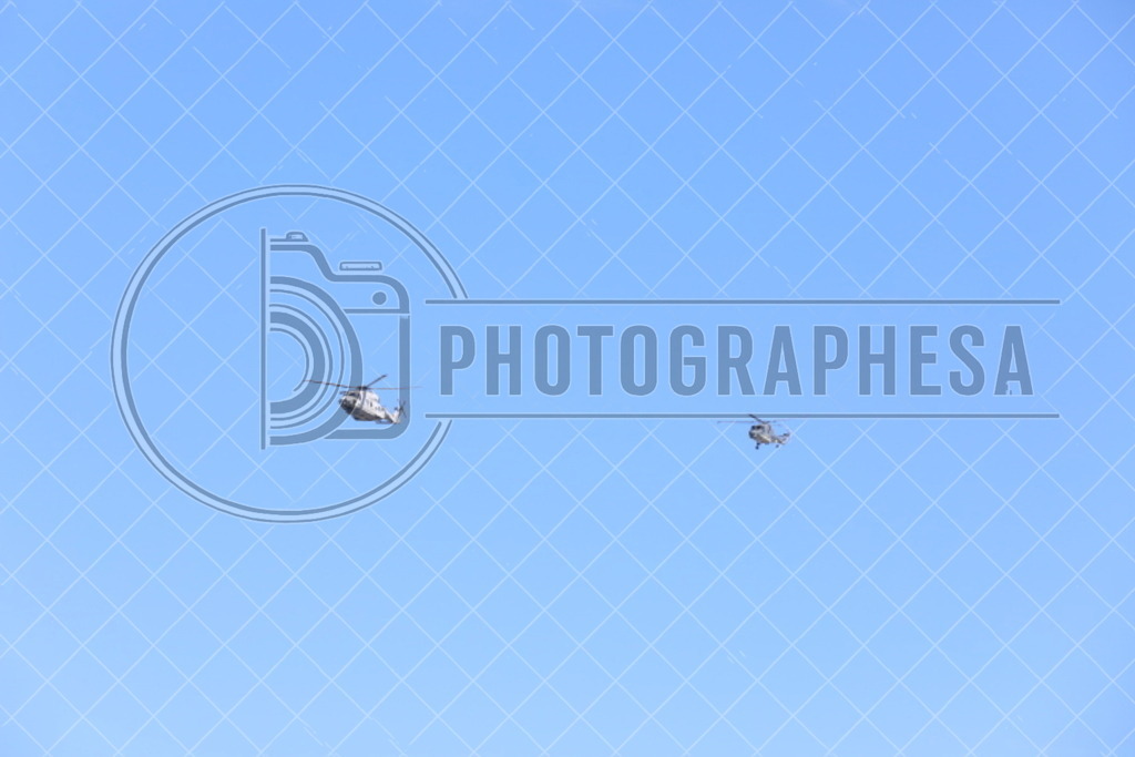 IMG_8832 | photographesa-joergens - Realisiert mit Pictrs.com