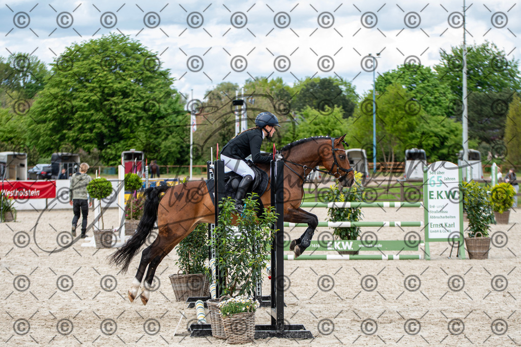 KPT_6351 | andre_photographic