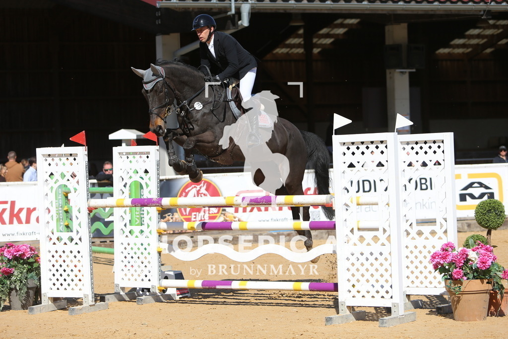 DL2Q4592 | Willkommen bei Brunnmayr - Design & Fotografie – Ihrem Spezialisten für Reitturniere und Pferdeveranstaltungen in Oberösterreich, Salzburg und Bayern! Seit über 17 Jahren sind wir leidenschaftlich dabei.