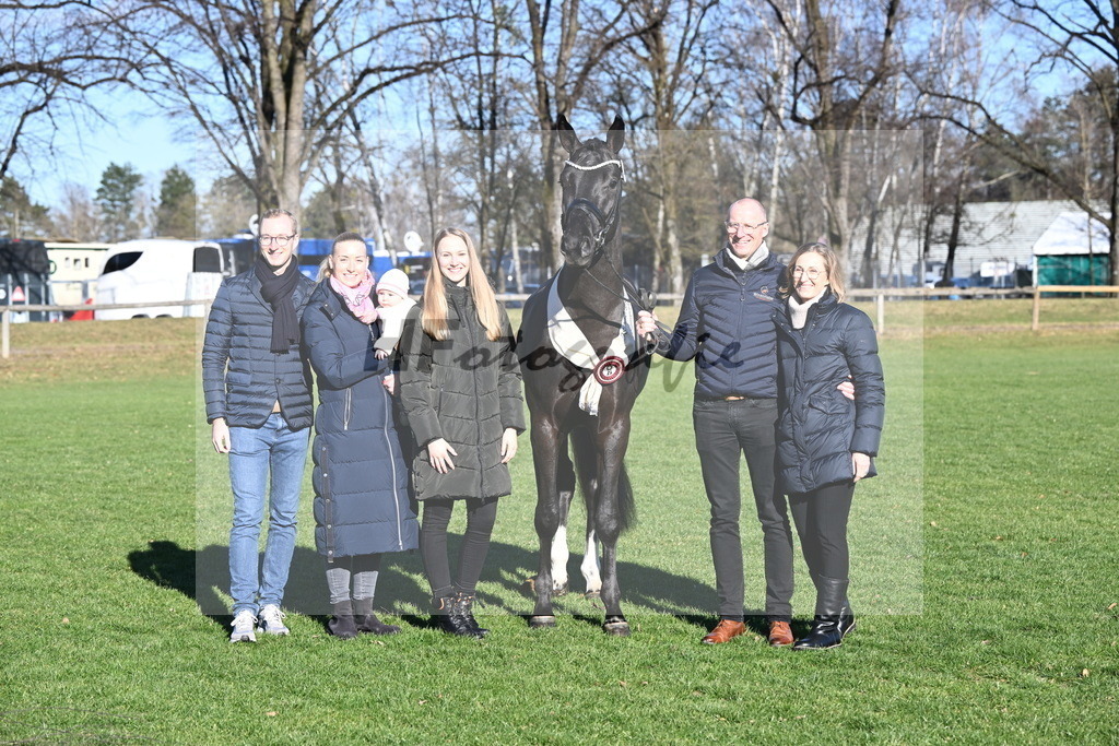 Kat.-Nr. 65 v. Springbank II VH_Reichert_2243441 | hf-fotografie - Realisiert mit Pictrs.com