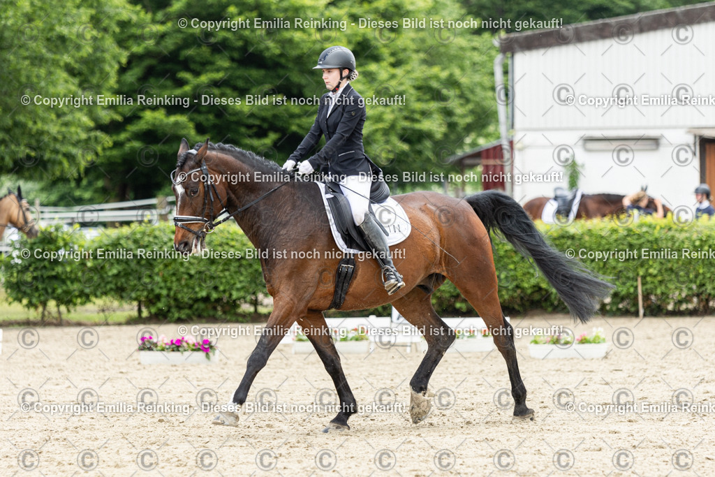 CL5A0904 | Emilia Reinking Fotografie - Realisiert mit Pictrs.com