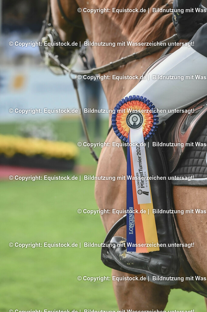 20230526_Impressionen_0243 | equistock