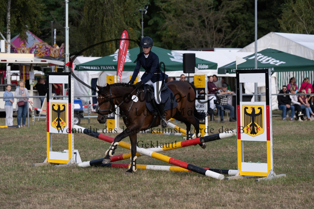 A7V08352 | Pferdefotograf