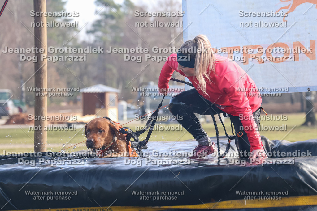 Dog Paparazzi - Strongdog North Mrz26-474 | Dog Paparazzi Jeanette Grottendiek Fotografie & Videografie - Realisiert mit Pictrs.com