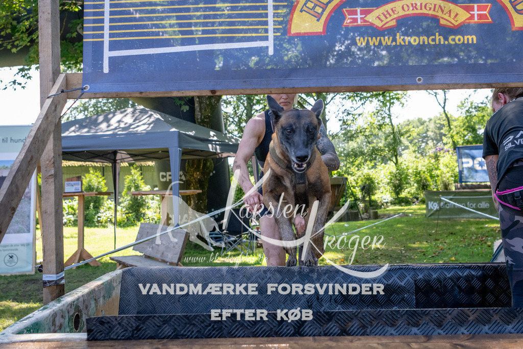 1504_ZZ90154 | kk-dogfotos