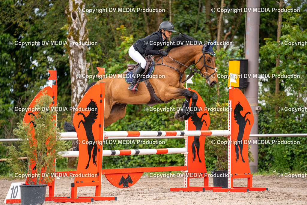 Eppelheim Tag 1-189 | dv-media-shop - Realisiert mit Pictrs.com