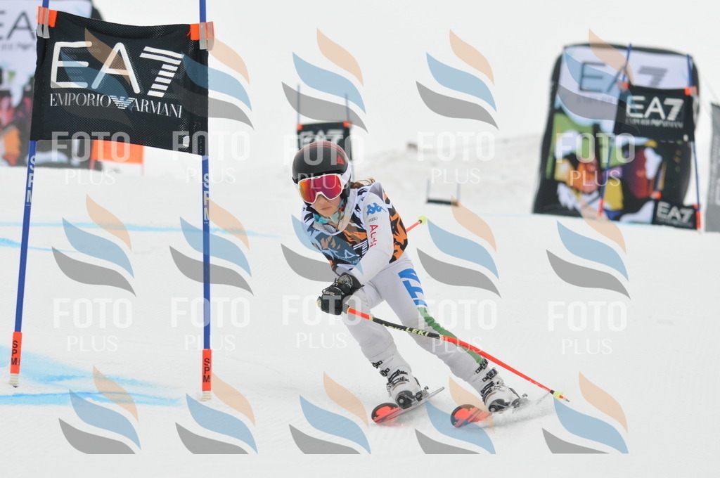 DSC_7467 | holidayphoto