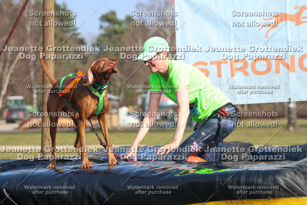 Dog Paparazzi - Strongdog North Mrz26-3334 | Dog Paparazzi Jeanette Grottendiek Fotografie & Videografie - Realisiert mit Pictrs.com