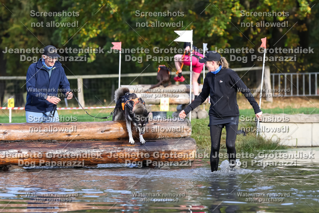 Dog Paparazzi - Strongdog 10-25-7038 | Dog Paparazzi Jeanette Grottendiek Fotografie & Videografie - Realisiert mit Pictrs.com